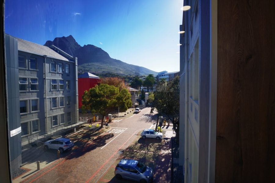 To Let commercial Property for Rent in Rondebosch Western Cape